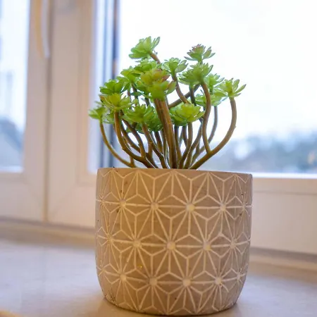 Elegant In With Terrace *